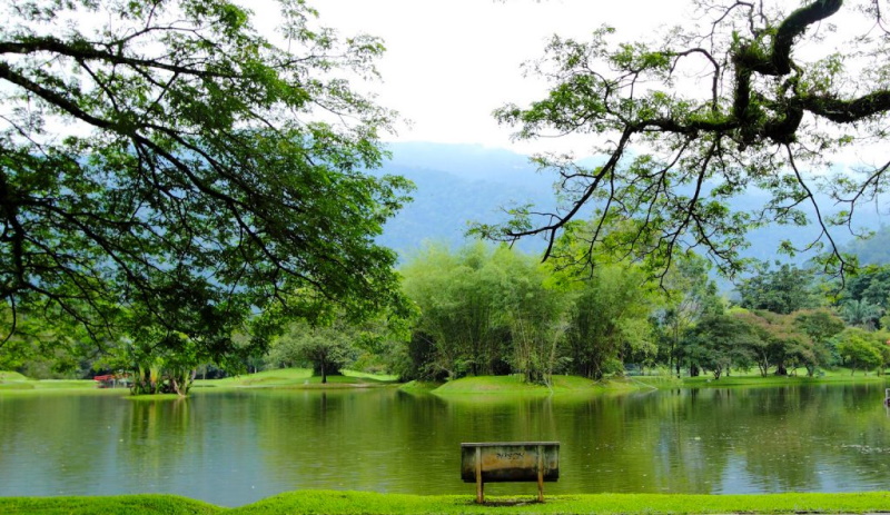 太平湖 濱公園